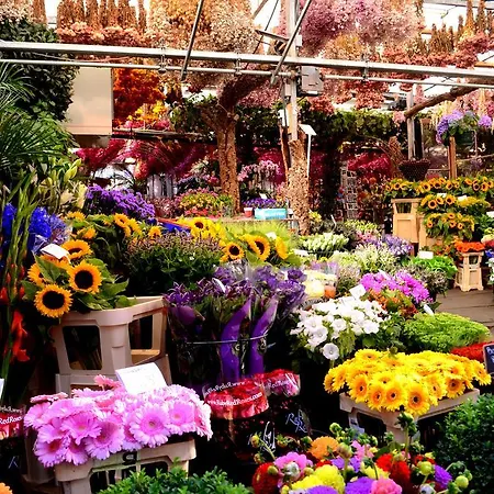 Hidden Gem Affittacamere Amsterdam